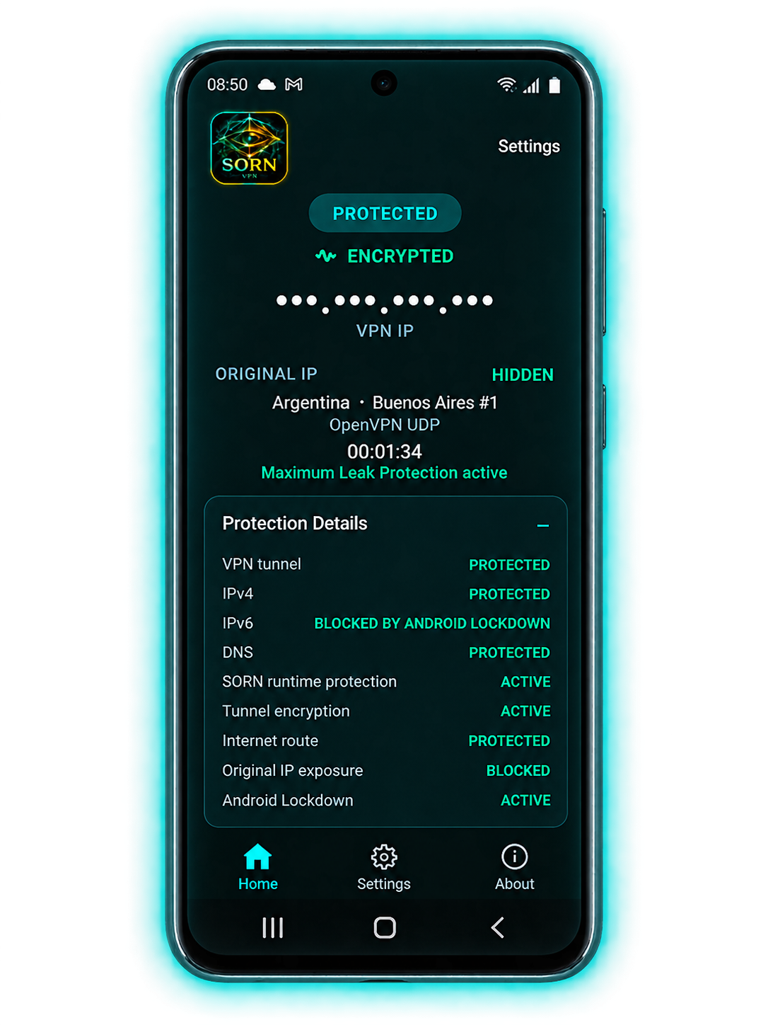 SORN VPN Protection Details with masked IP and active protection